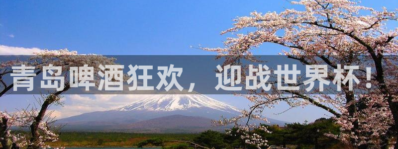 足球世界杯时间:青岛啤酒狂欢,迎战世界杯!