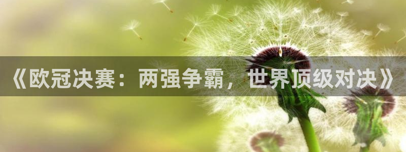 2026世界杯官网入口:《欧冠决赛:两强争霸,世界顶级对决》