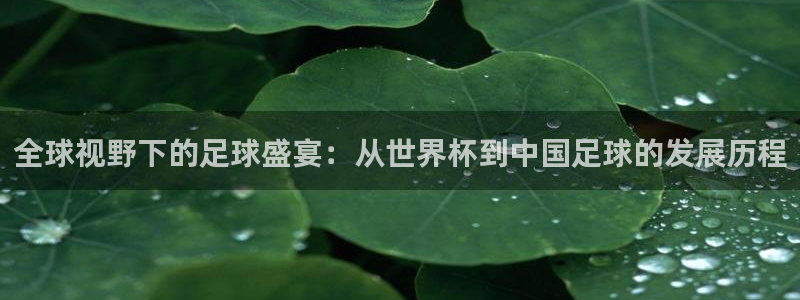世界杯决赛预测:全球视野下的足球盛宴:从世界杯到中国足球的发展历程
