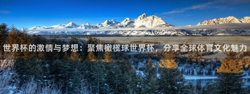 世界杯欧洲区世预赛赛程:世界杯的激情与梦想:聚焦橄榄球世界杯,分享全球体育文化魅力