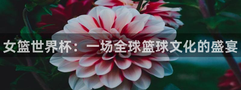 美洲杯直播:女篮世界杯:一场全球篮球文化的盛宴